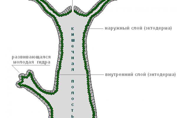 Кракен 17 вход